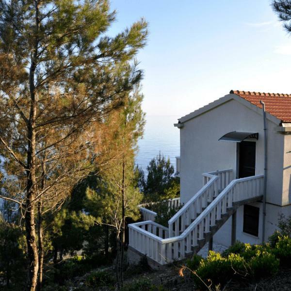 Villa Victor Babino Polje Exterior foto